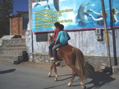 OLYMPUS DIGITAL CAMERA