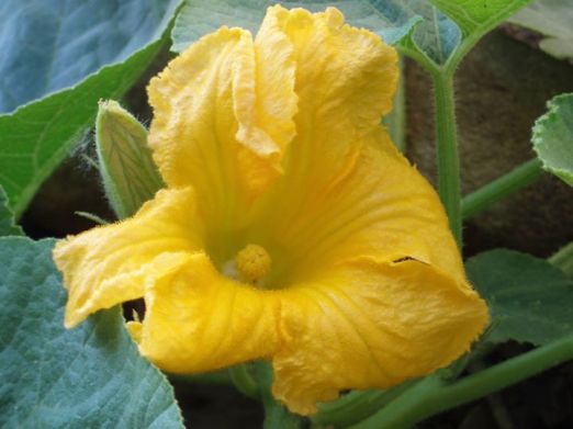 Cuando pensamos en espiritualidad nos olvidamos del cuerpo