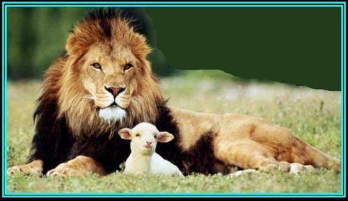 12115783_10207937837513141_924409320008600440_n