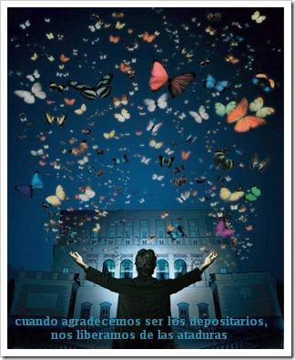 12038048_10208022512509963_4215489543557470093_n