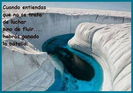 12046833_10208028537700589_4291439770851079595_n