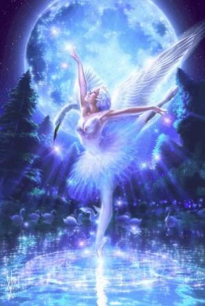 12118748_10207990905919818_8733278830942958702_n