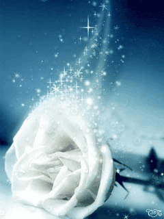 73258939853996485118