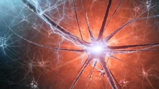 fisica-quantistica-della-coscienza