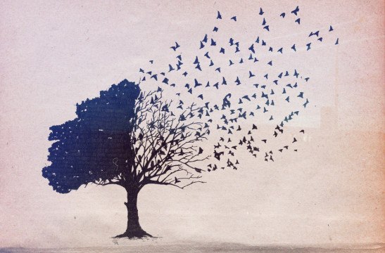 12717614_10153934743023185_6379449573073724392_n