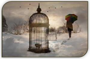 12832431_10208895989306337_6792039269163201033_n