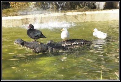 12439288_10209243585516025_4722075014495468748_n