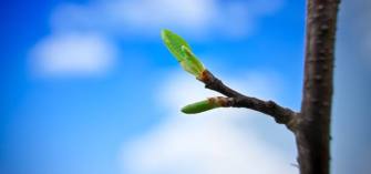 13082707_10209443506153916_5473348542636887024_n