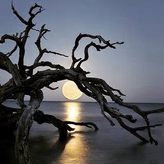 13139284_10209517648927439_8802978842902162999_n