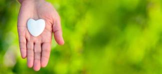 13164344_10209532041887254_6658971272727659916_n