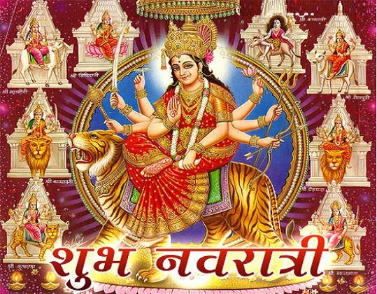 05f8bf6e8dd15d2dacedc4a9259a0915