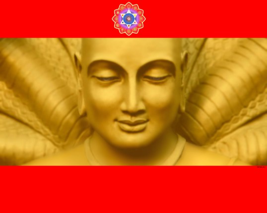 patanjali fondo rojo con logo