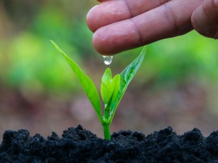 frases-dia-de-la-tierra-euroresidentes