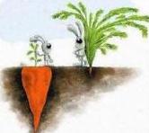 success-is-not-always-what-you-see