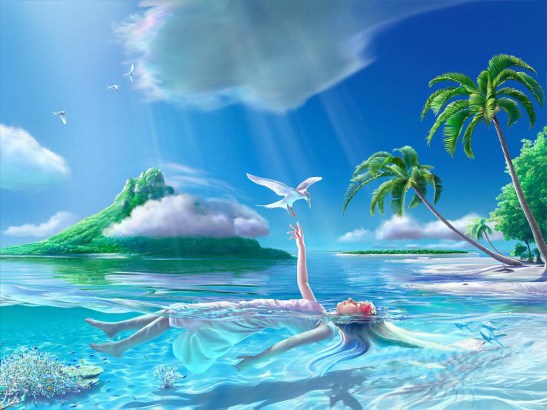 Kagaya SW-008 CD (by fmben.com)