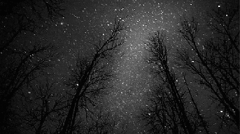 e6893ca4621178bb9dc7605c88e008c0