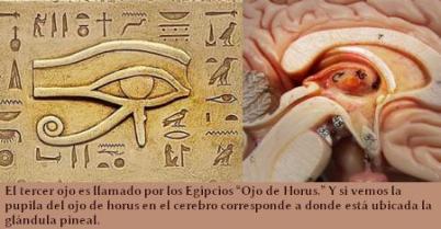 pineal-gland-and-horus