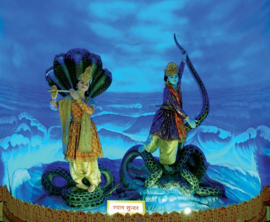 17581495721_04972c866c_b