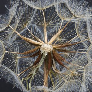 a069b2258e4270b34ccd4adb53c86bfd