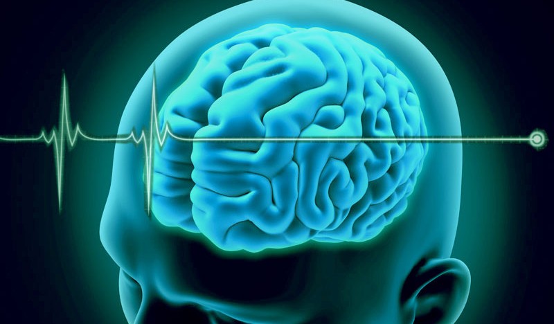 muerte_cerebral-800x468