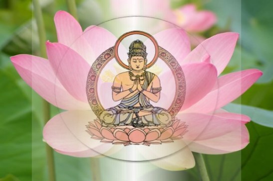 Flor-de-loto-en-el-budismo