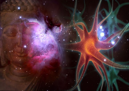 6a00d83451c79e69e2017d3d4ce363970c