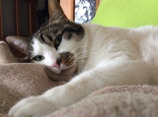 A98AA456-7438-44AF-B478-0F4EB2C0BF7A