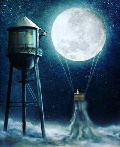 11252657_999471113458779_798660130_n