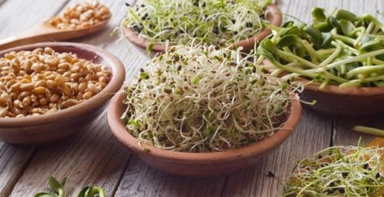 589892a78a2a5_crop-800x412