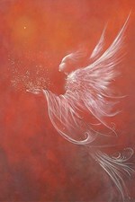 following-an-angel_2016-03-01-10-26-24-497