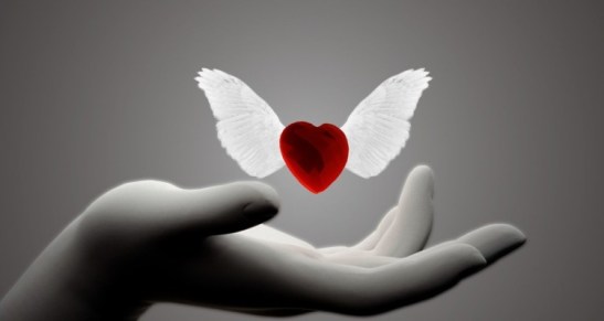 cuore-con-le-ali-750x400