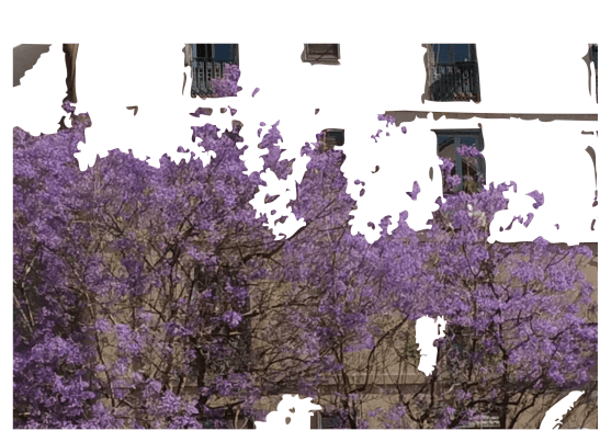 69D4A393-4688-49EC-9367-7603D3DA83DD