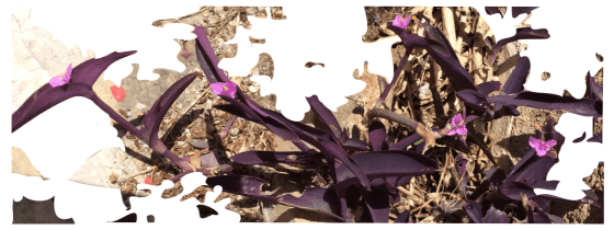 9B400005-FF6E-4692-AEF3-5AEF2C9800D1