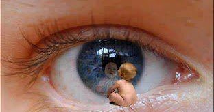 970147_392479247537295_2123279601_n