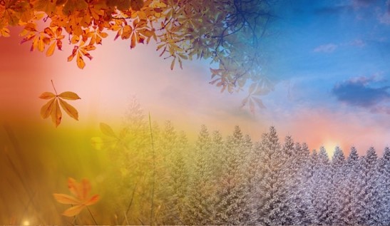 Digital composition of autumn and winter season