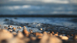 14f06091284dcc2a739141297742