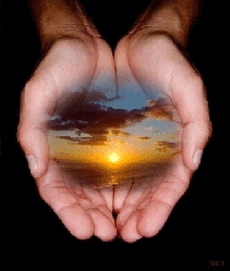 e48033a8721b0a45c08bcd27dba411a76a666166