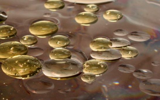 img_4531-11-e1474386869333