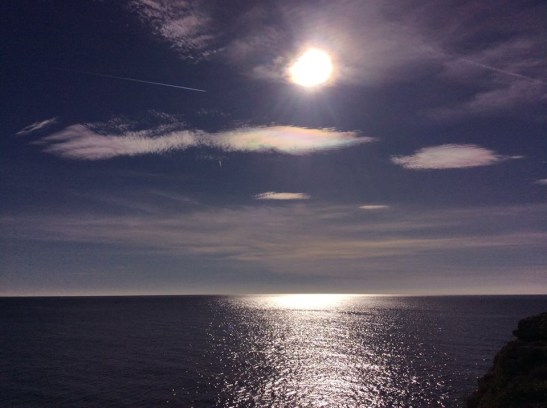 49028147_10218060391530665_8372412606039719936_n