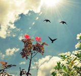 f2fff2c248b88a6afe035d08feee5533