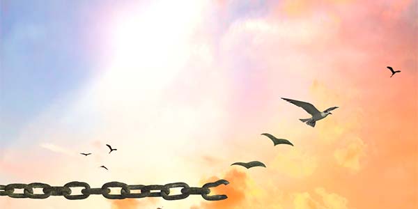 Sobrevivir-el-fracaso