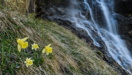 60127238_628182450990850_4016167340885409792_n