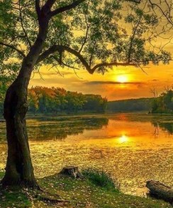 60337713_2327665510823652_8336836550113361920_n