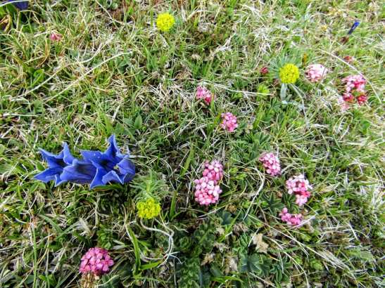 60343450_10217086351423971_9102931717831786496_n