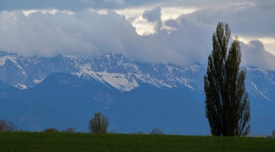 60346100_10217632942992066_5161853049664176128_n