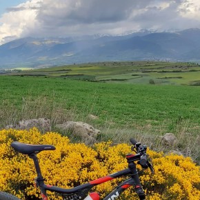 61457803_10217101087792371_7699327218563940352_n