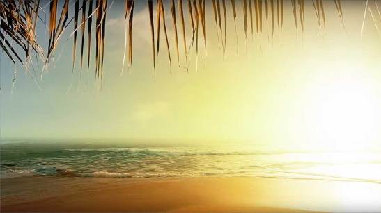 pin-and-travel-travel-magazine-logo