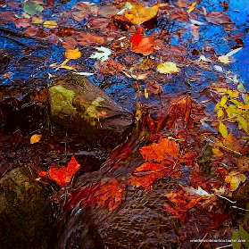 tumblr_pli37kX0fe1viuar9o1_540