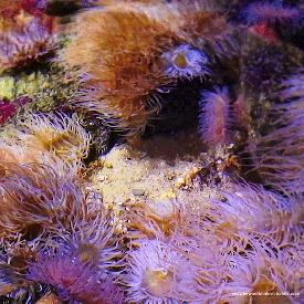 tumblr_pli94c8fCB1viuar9o1_540