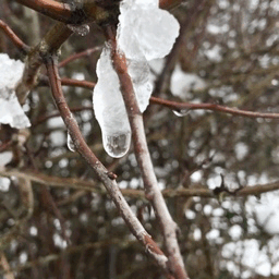 tumblr_pm99vbfWMh1rd49a7_400